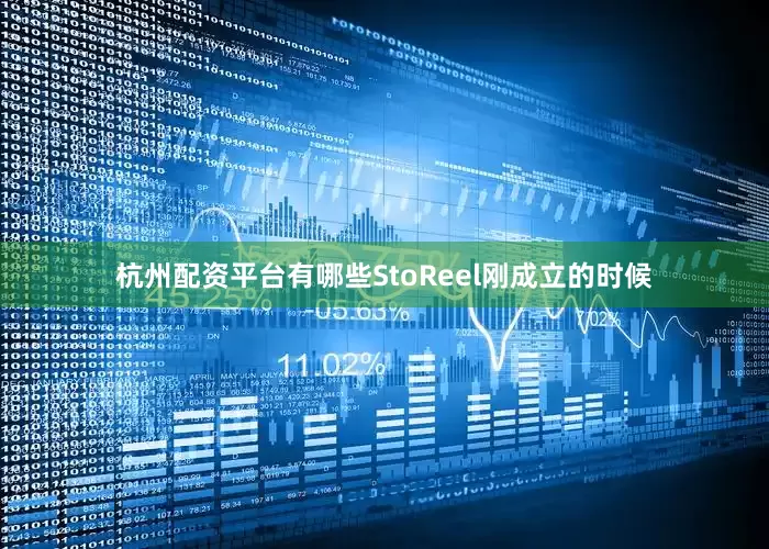 杭州配资平台有哪些StoReel刚成立的时候