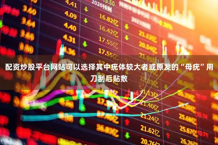 配资炒股平台网站可以选择其中疣体较大者或原发的“母疣”用刀刮后贴敷