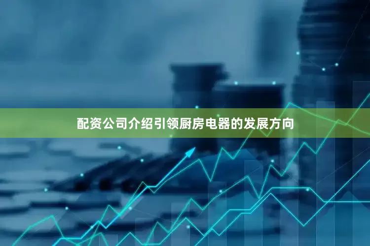配资公司介绍引领厨房电器的发展方向