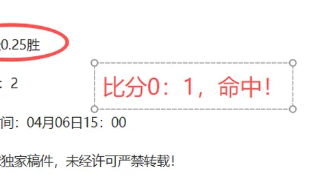 湖人队奥斯汀·里夫斯：不可或缺的第三巨头！