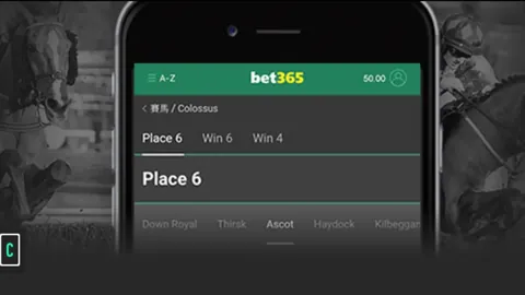 篮球盛宴：猛龙激战爵士，总分对决深度解析！